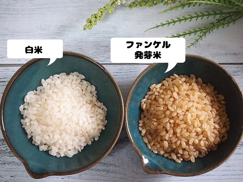 炊く前のファンケル発芽米と白米