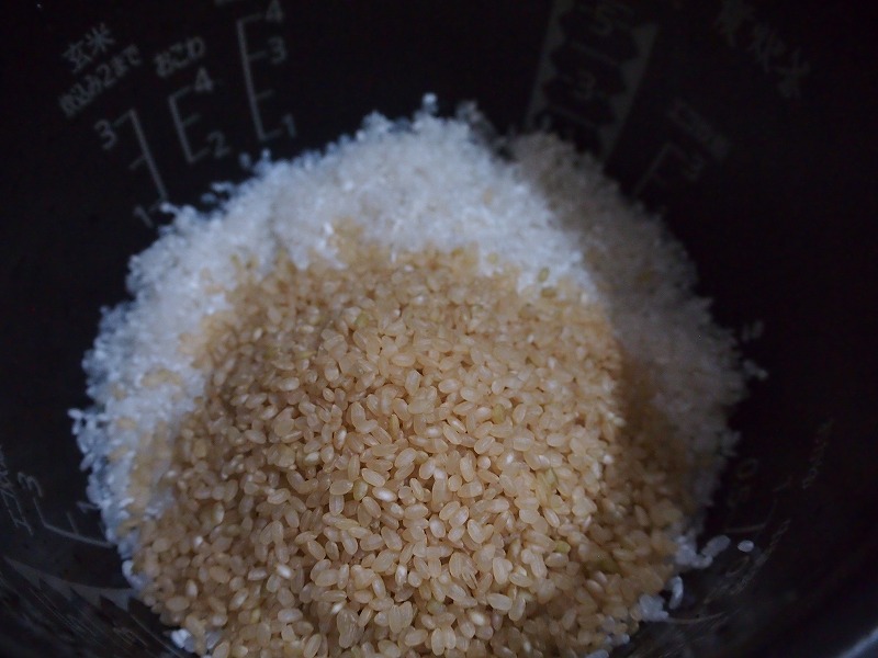 白米と発芽米
